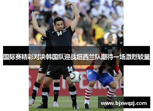 国际赛精彩对决韩国队迎战纽西兰队期待一场激烈较量