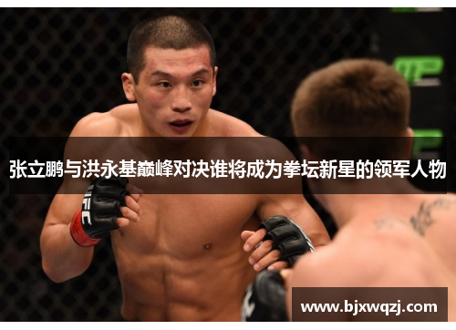 张立鹏与洪永基巅峰对决谁将成为拳坛新星的领军人物