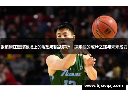 张镇麟在篮球赛场上的崛起与挑战解析，探索他的成长之路与未来潜力